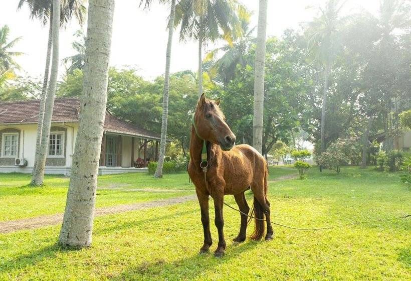 Отель Tamarind Tree Garden Resort
