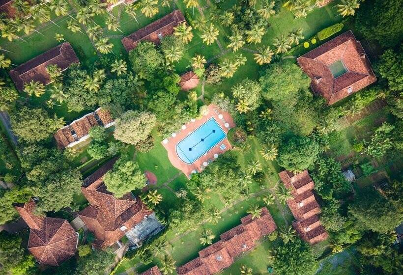 Отель Tamarind Tree Garden Resort