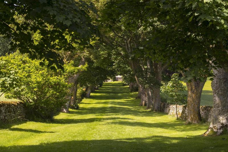 فندق The Glenmorangie House