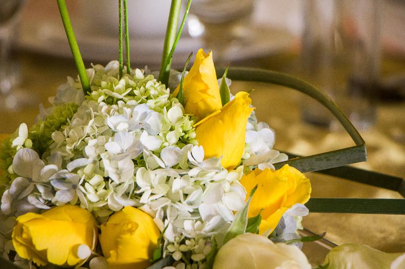 ホテル Villa Las Margaritas Plaza Cristal