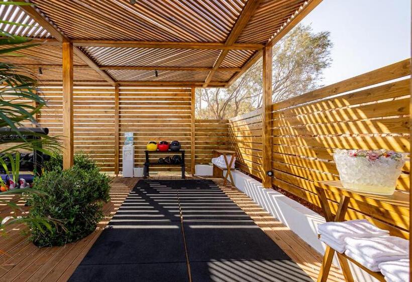 בית מלון כפרי Andronis Minois