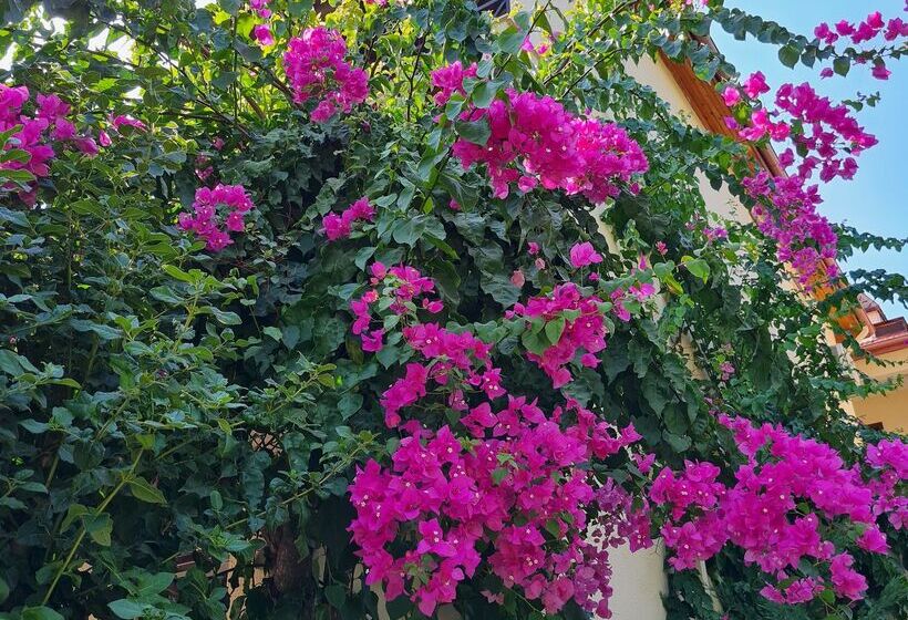 Saphir Hotel & Villas