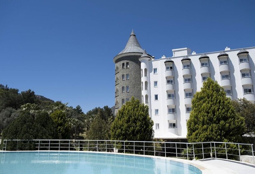 X Life Hotel Sarıgerme 15   Adult