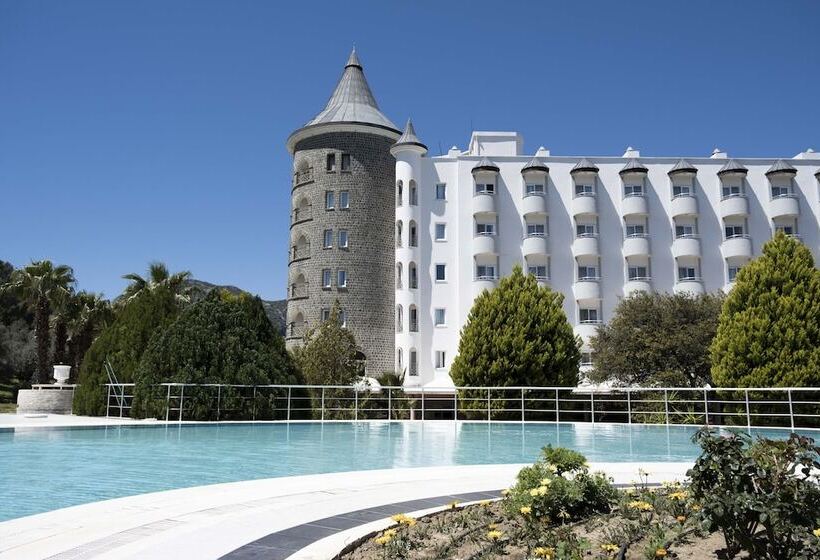 X Life Hotel Sarıgerme 15   Adult