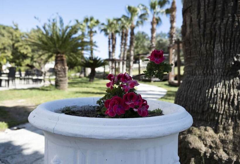 X Life Hotel Sarıgerme 15   Adult