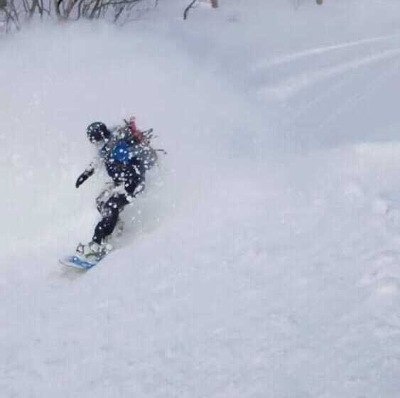 هاستل Myoko Forest Lodge