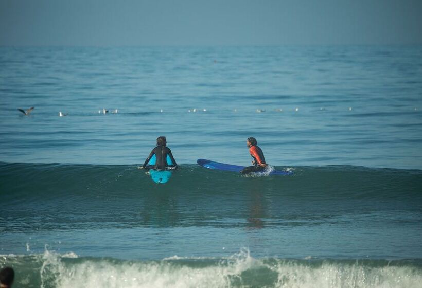 The Yogi Surfer   Hostel