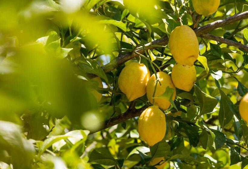 Agroturisme Can Planells