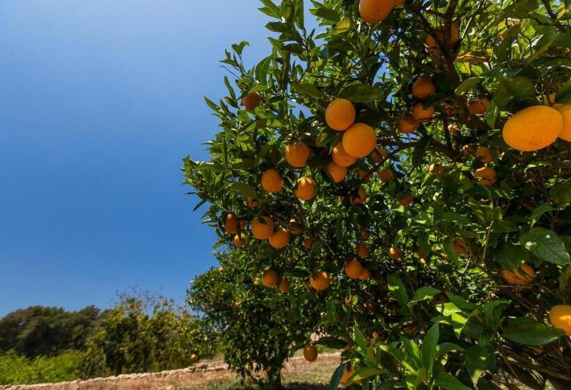 Agroturisme Can Planells