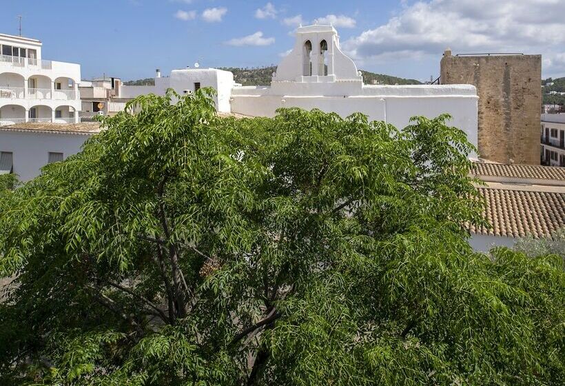 Apartamentos Tramuntana