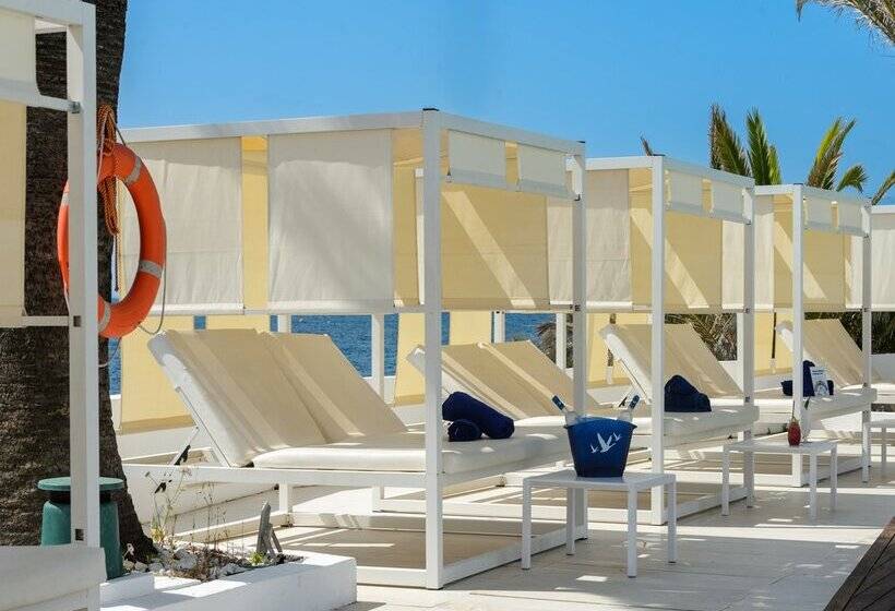 Apartamentos Vibra Jabeque Dreams