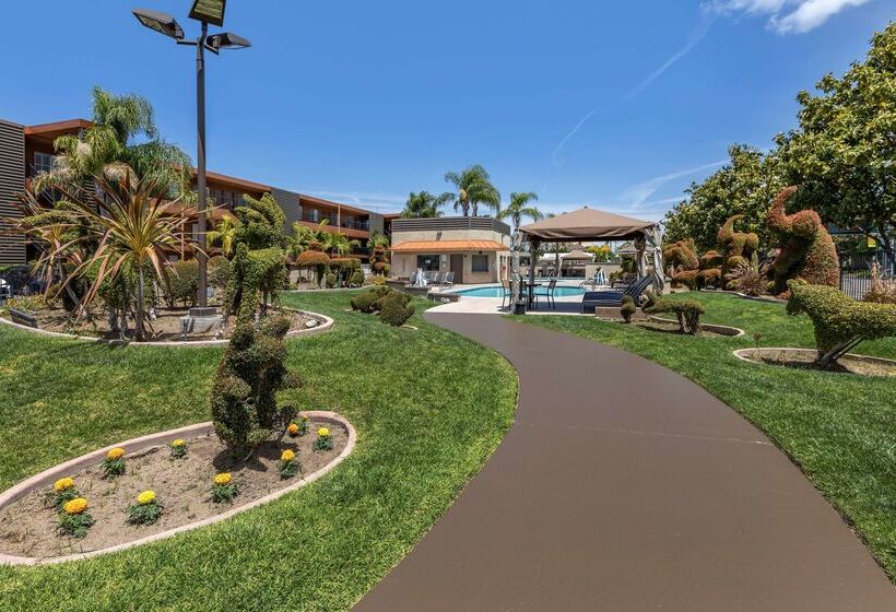 Отель Best Western Plus Stovall S Inn