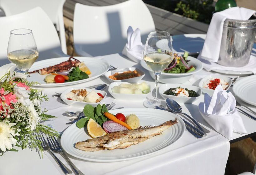 בית מלון כפרי Megasaray Club Belek