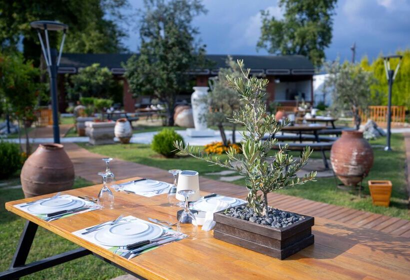 ホテル Club Tuana Fethiye  All Inclusive