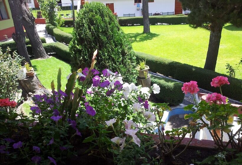 בית מלון כפרי Colomba