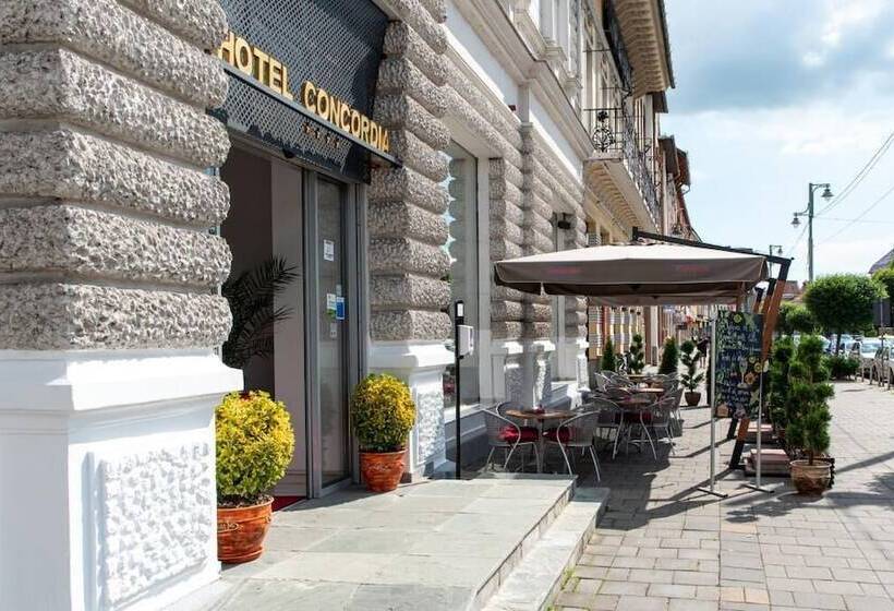 酒店 Concordia