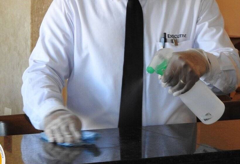 בית מלון כפרי Executive Inn