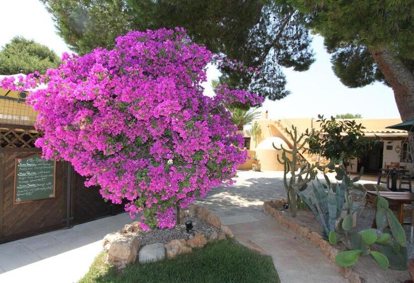 בית מלון כפרי Finca Can Toni