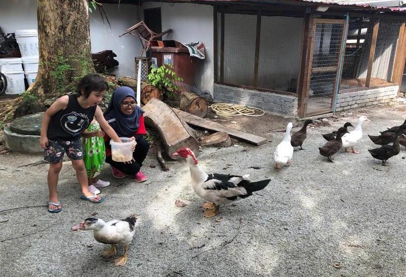 호텔 The Frangipani Langkawi Resort & Spa