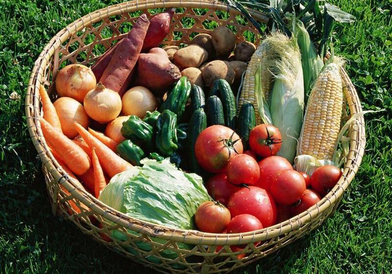 בית מלון כפרי Mori No Spa Resort Hokkaido