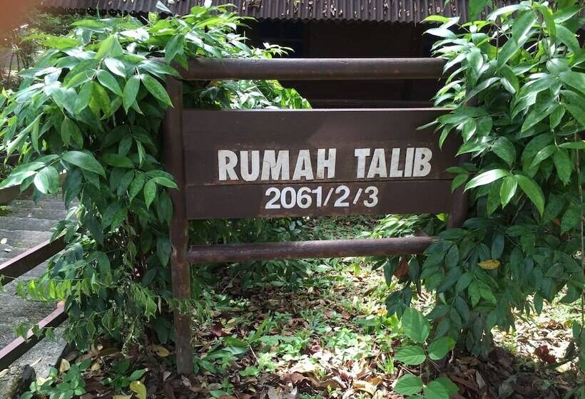 酒店 Kampung Tok Senik Resort