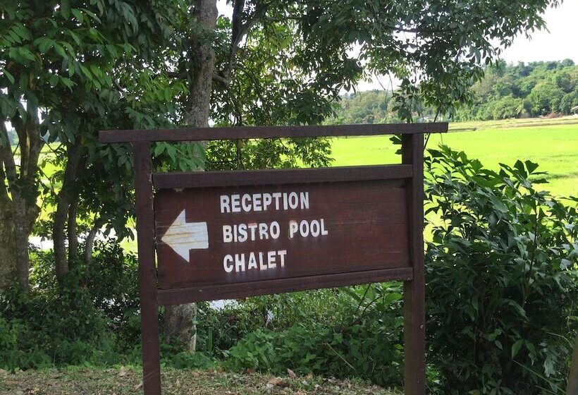 Отель Kampung Tok Senik Resort