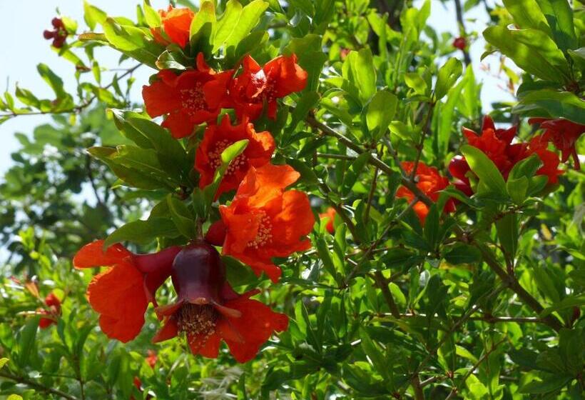 ホテル Minta Apartments