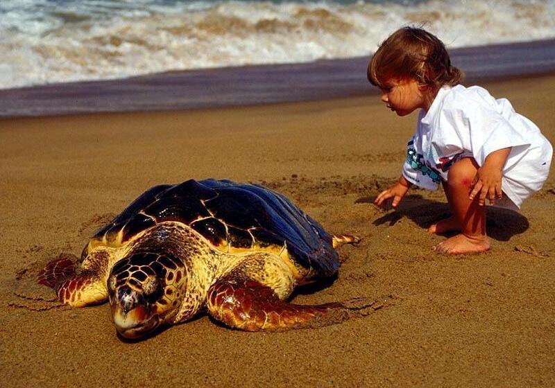 ホテル Minta Apartments