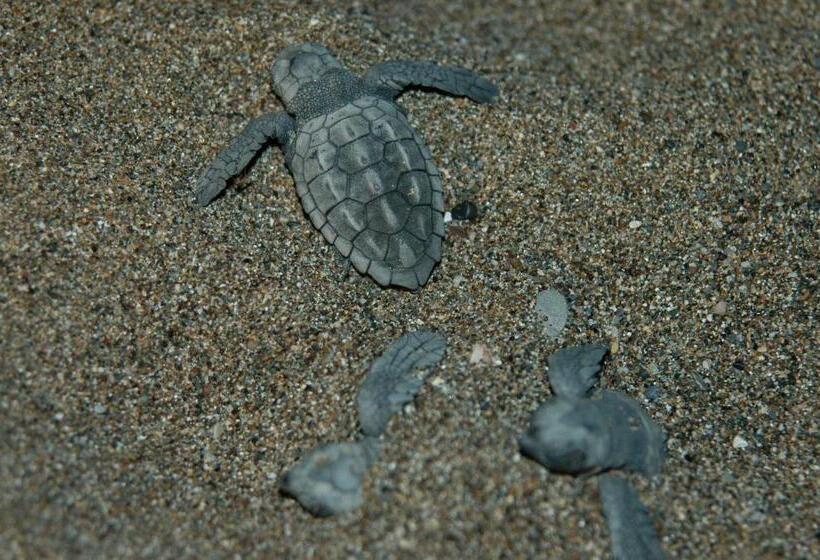 ホテル Minta Apartments