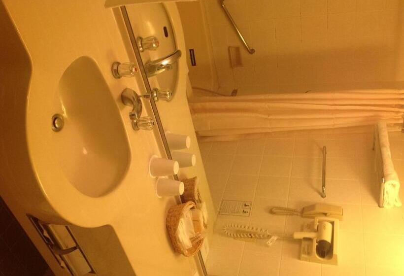 호텔 Narita Gateway