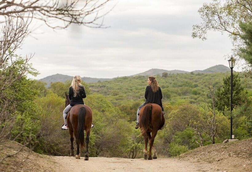 هتل La Posada Del Qenti