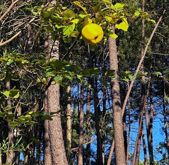 호텔 Quinta De Gestacos