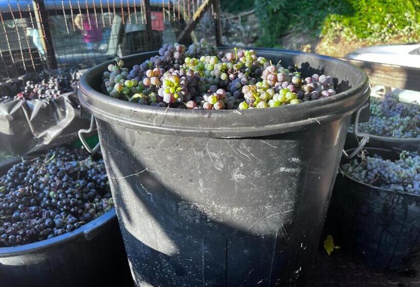 호텔 Quinta De Gestacos