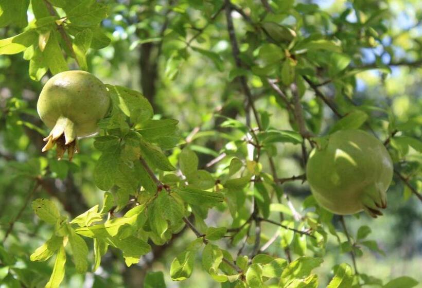 酒店 Quinta De Gestacos