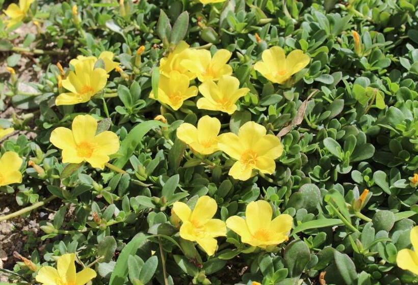 酒店 Quinta De Gestacos