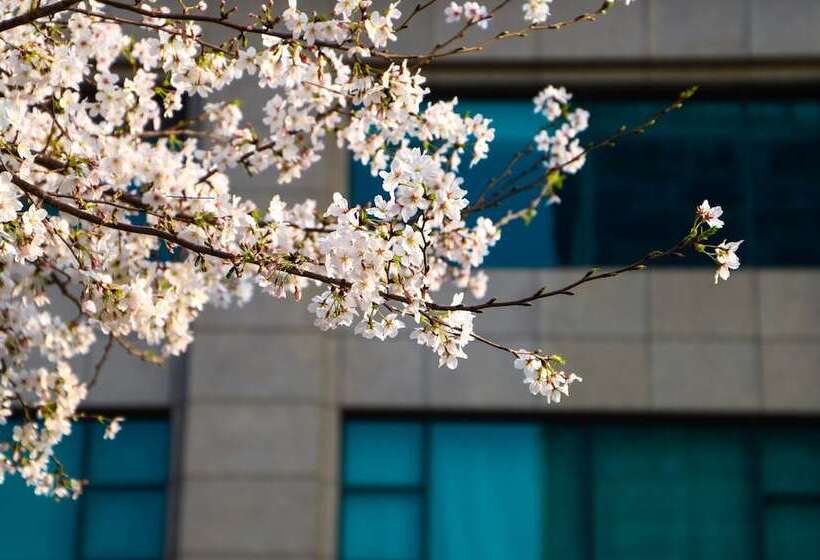 Отель Renaissance Suzhou