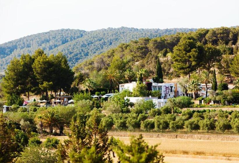 هتل روستایی Cas Gasi Boutique