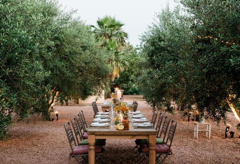 هتل روستایی Cas Gasi Boutique