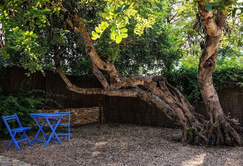 هتل روستایی Cas Gasi Boutique