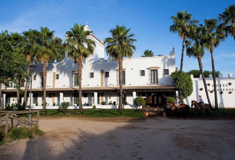 乡村酒店  Hotel La Malvasia