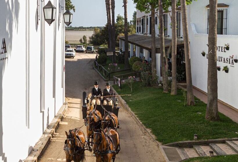 乡村酒店  Hotel La Malvasia