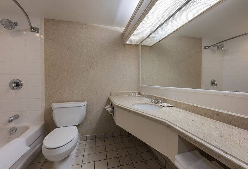 فندق The Barrington