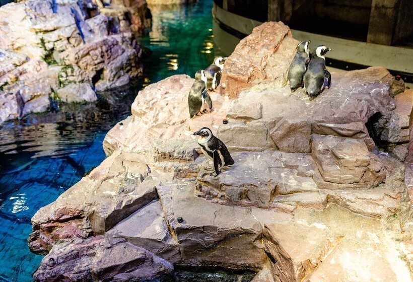 ホテル The Westin Boston Seaport District