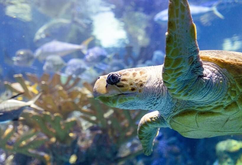 ホテル The Westin Boston Seaport District