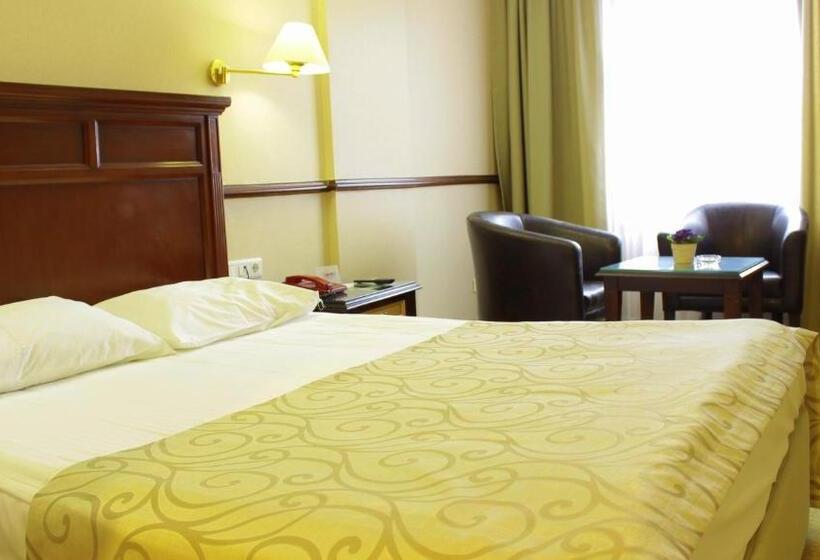 ホテル Topkapi Inter Istanbul