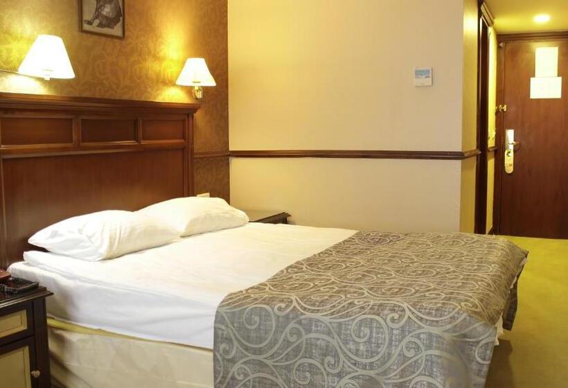 ホテル Topkapi Inter Istanbul