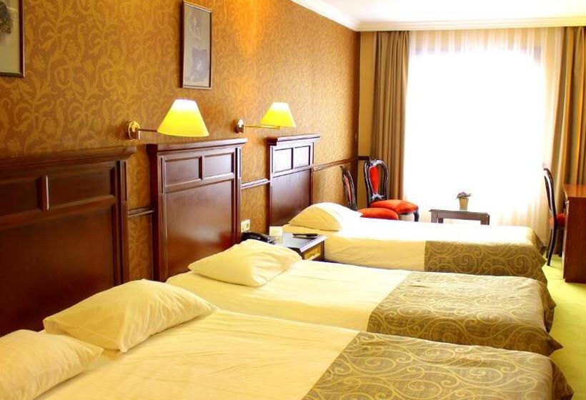 ホテル Topkapi Inter Istanbul