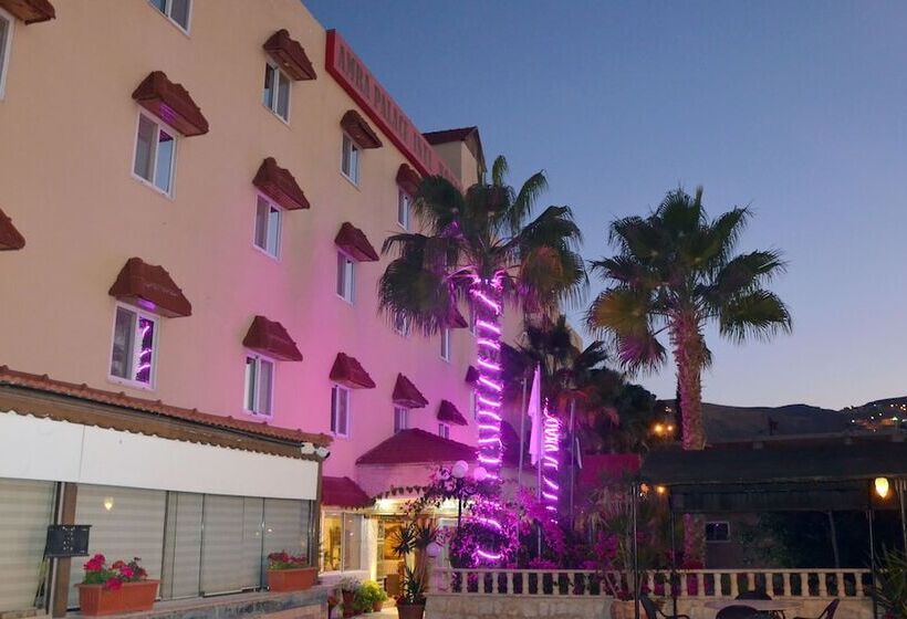 هتل Amra Palace International