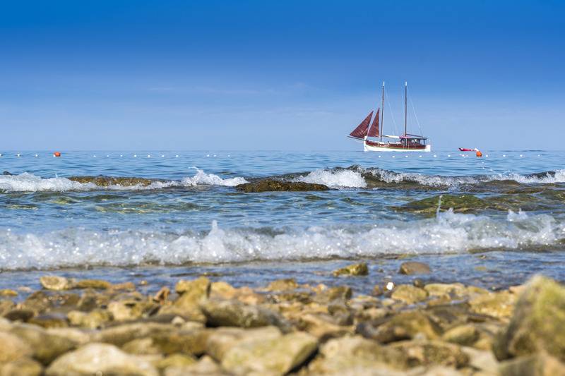 호텔 Apartments Savudrija Plava Laguna