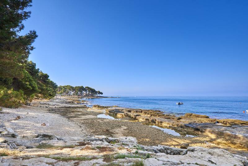 호텔 Apartments Savudrija Plava Laguna